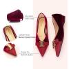C.Paravano Flats for Women | Pointed Toe Flats | Ballet Flats | Women Shoes Dressy Comfortable(Claret Velvet)