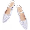 Silver Flats