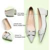 C.Paravano Flats for Women | Pointed Toe Flats | Ballet Flat | Women Dressy Shoes Comfortable(Grey)
