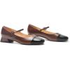 C.Paravano Mary Janes | Block Heels Pumps | Pumps Shoes Women | Low Heels | Chunky Low Heel(Brown)