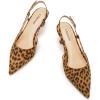 C.Paravano Kitten Heels for Women | Low Heel | Slingback Heels for Women | Pointed Pumps Shoes | Closed Toe Sandals(Leopard-n)