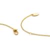 C.Paravano Necklaces for Women Jewelry Necklace Jewelry for Women Chain Necklace Pendant Necklace for Women(F60)
