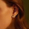 C.Paravano 18K Gold Earrings Studs Stud Earrings for Women Hypoallergenic Earring for Women Flatback Stud Earrings Stud Earrings Gold(EARRING_34)