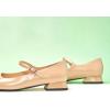 C.Paravano Women’s Mary Jane Shoes Square Toe Flats for Women Ballet Flats with Strap Dressy Casual Work Office Party, Low Block Heels Mary Jane Pumps(Dark Beige,8)